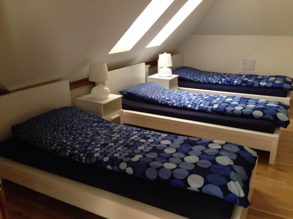 Onefam Miru Hostel ปราก ห้อง รูปภาพ